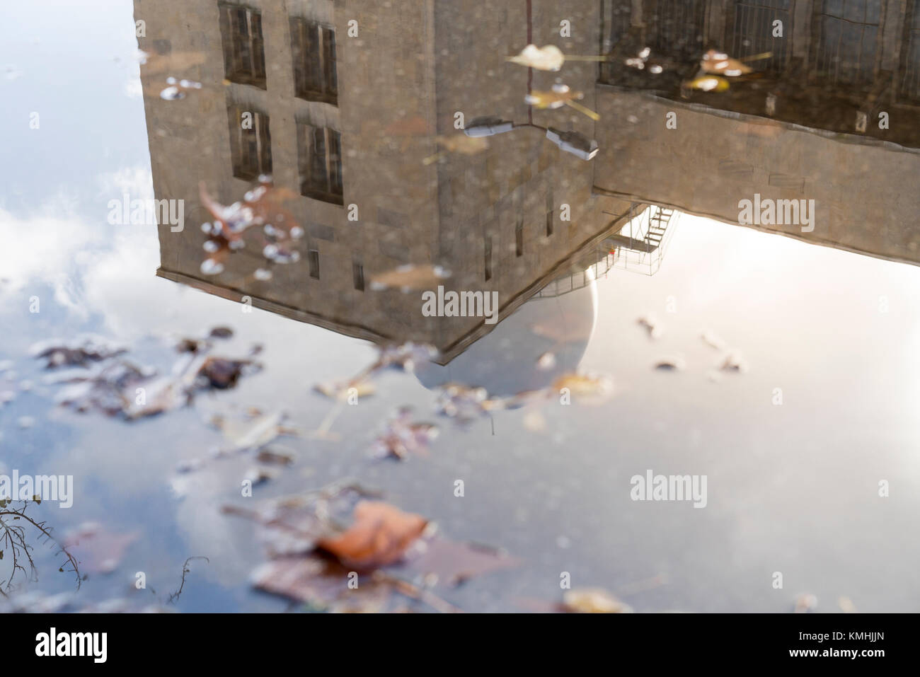 reflection of a building in a puddle with autumn leaves Stock Photo - Alamy