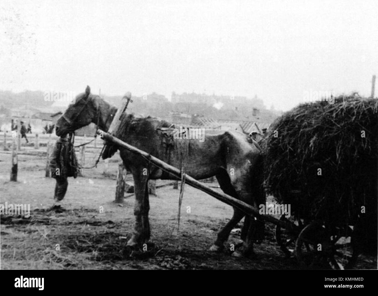Horse famine hires stock photography and images Alamy