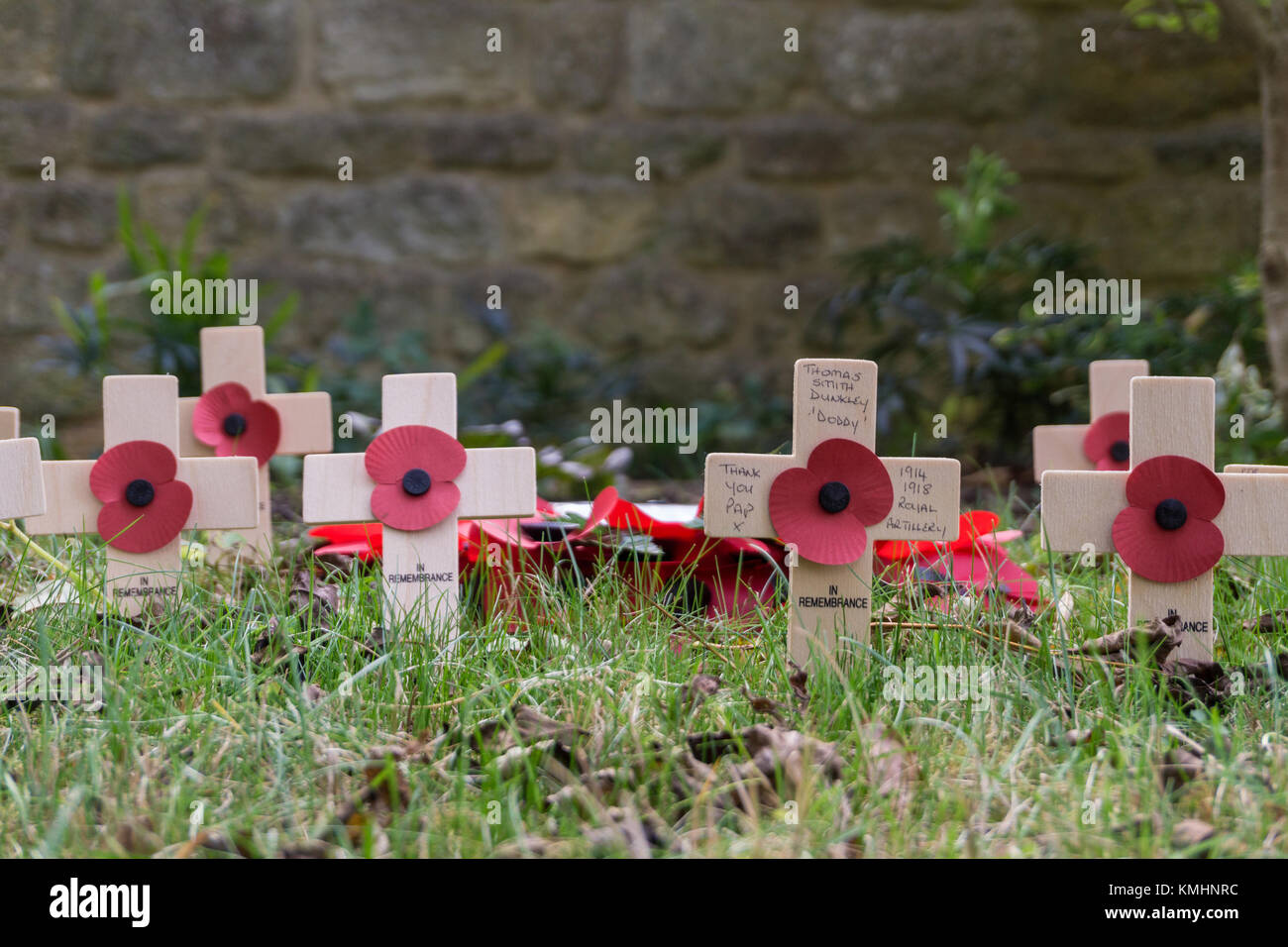 Row of wooden crosses with poppies, some with inscriptions, garden of remembrance, Towcester, UK Stock Photo