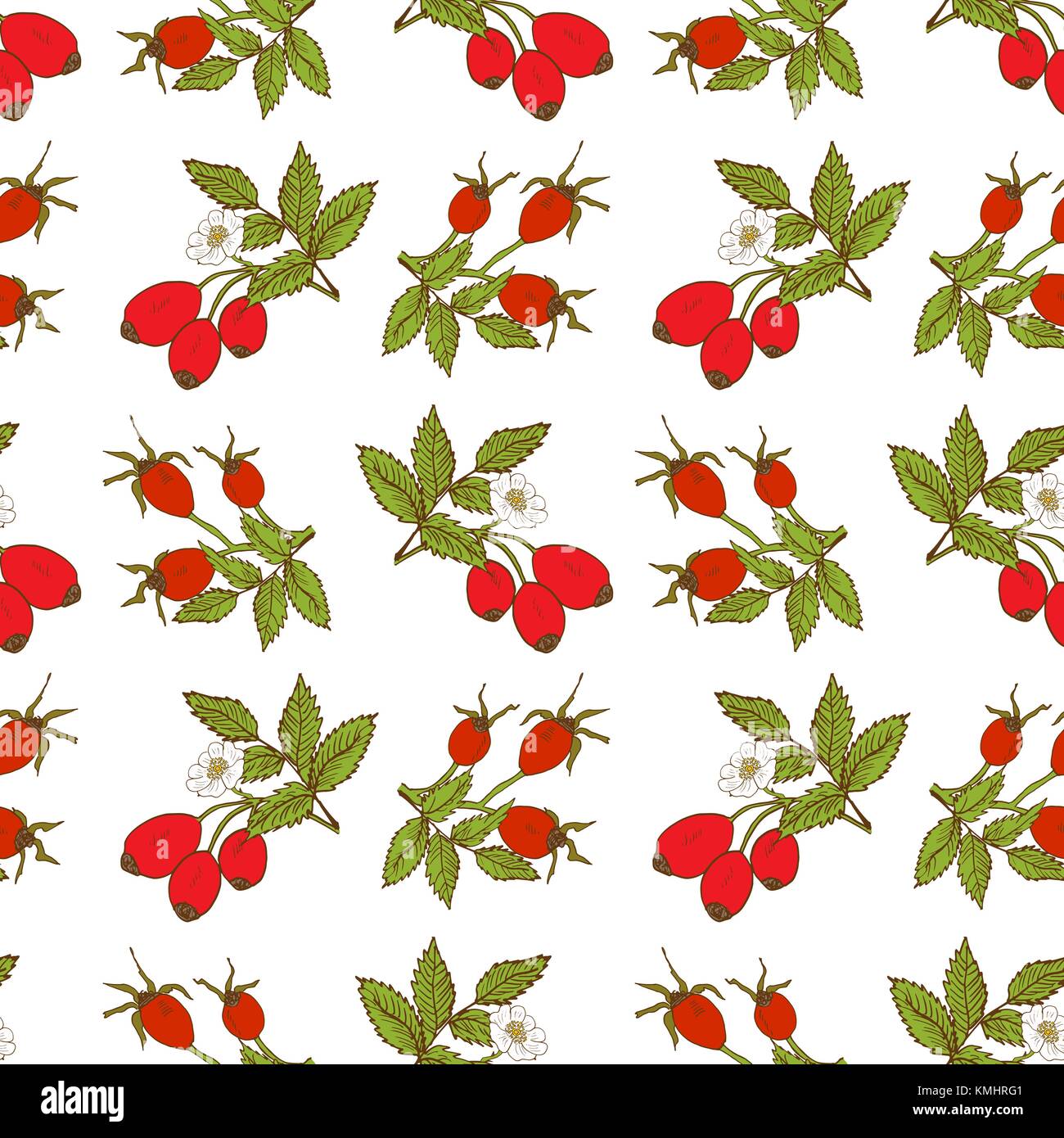 Fruit background Seamless pattern with hand drawn sketch rose hip ...