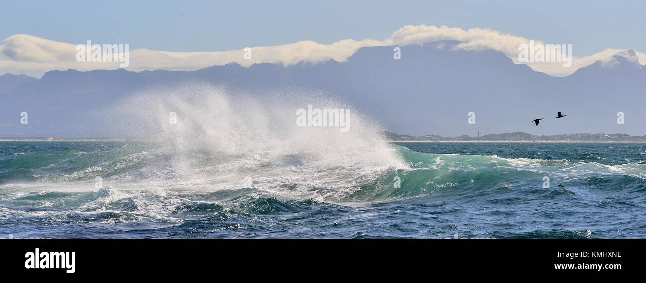 Wave Ocean Wave crashing ocean water power. Powerful ocean waves breaking. Wave on the surface of the ocean. Wave breaks on a shallow bank. Natural ba Stock Photo