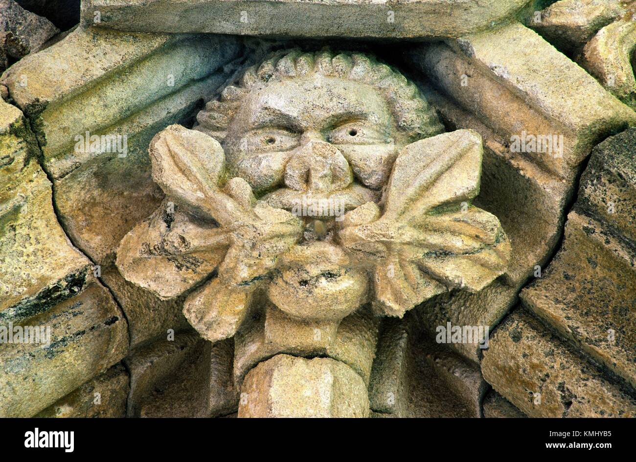 Carved stone Green Man ceiling detail in 15th C. Chapter House at Glenluce Abbey, Dumfries and Galloway region, Scotland UK Stock Photo
