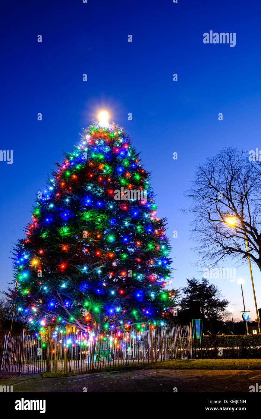 big christmas lights