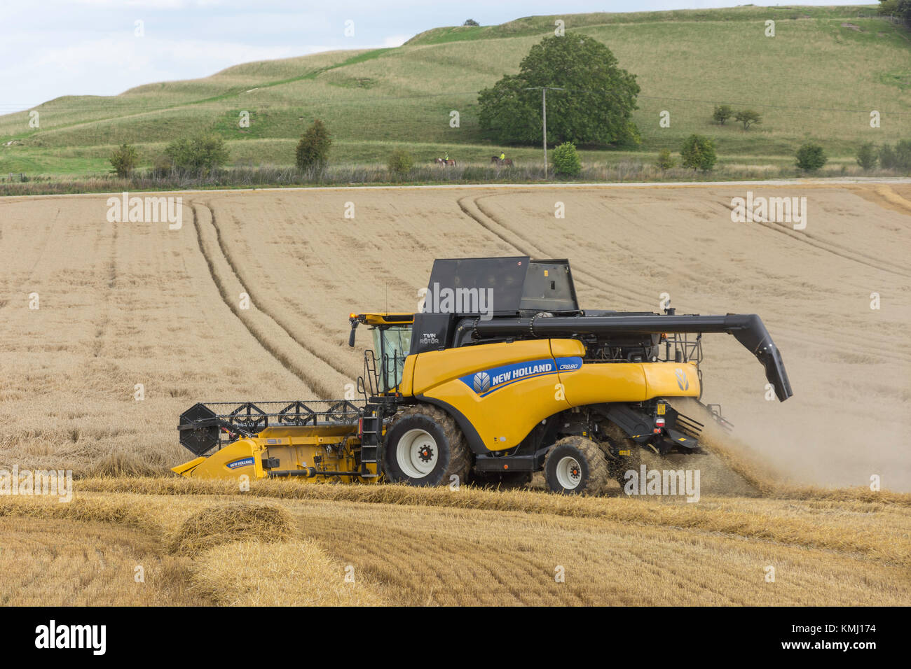 New Holland Twin Rotor Combine Harvester harvesting wheat near Didcot, Oxfordshire, England, United Kingdom Stock Photo