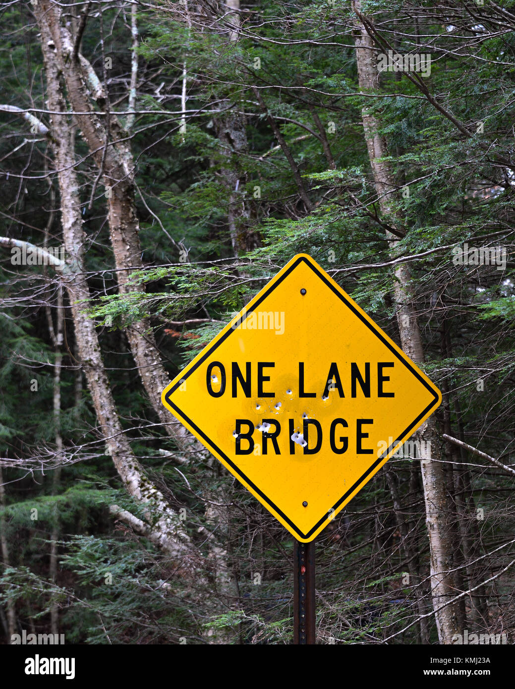 One lane bridge sign on a forest road with bullet holes from vandals. Stock Photo