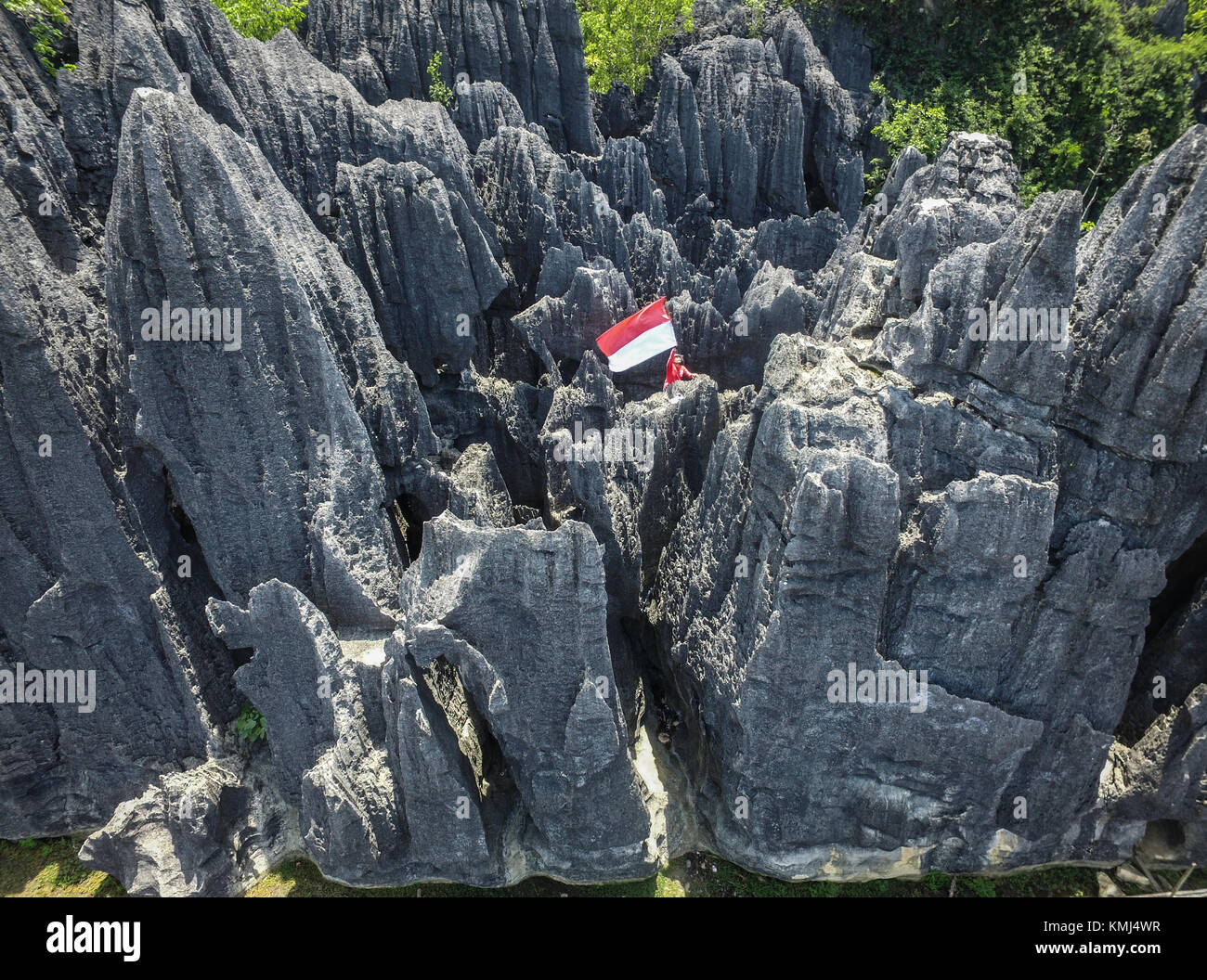 The forest of rock in Rammang-Rammang near Maros Makassar in South Sulawesi - Indonesia. Stock Photo