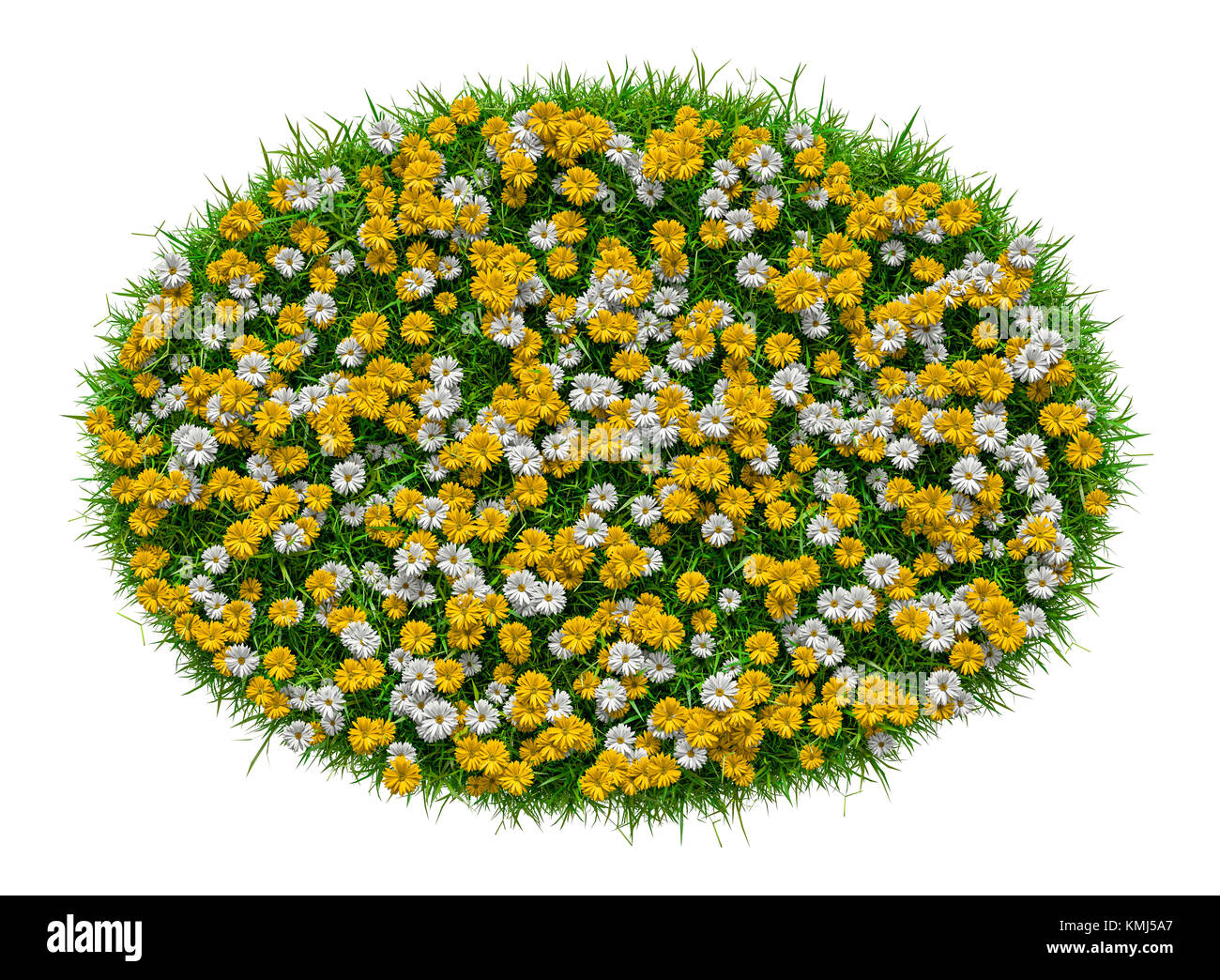 Closeup of grass carpet with flowers Stock Photo Alamy