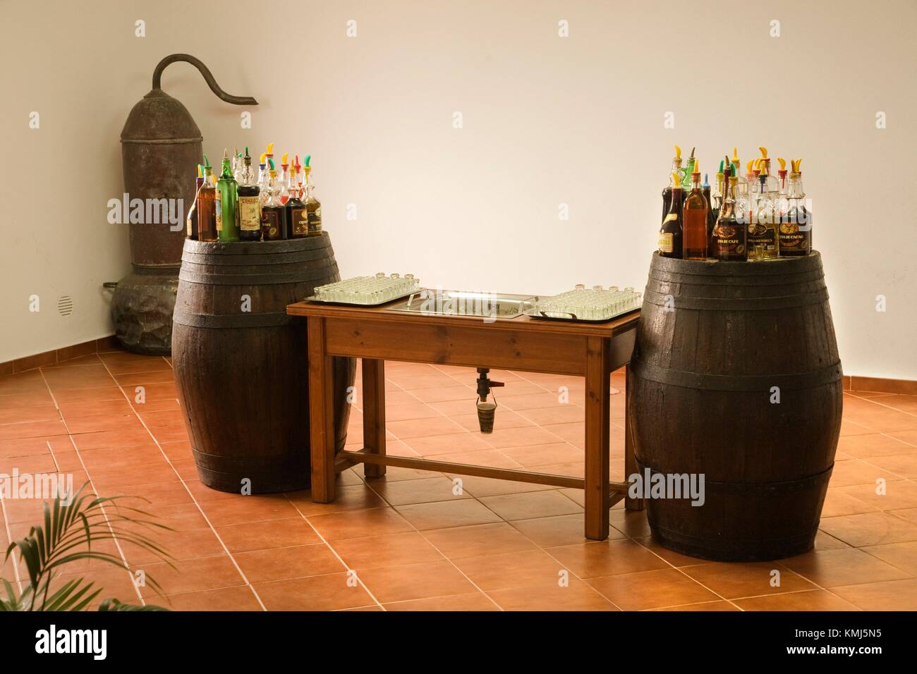 Gin Xoriguer Distillery, Shop. Mahon. Minorca. Balearic Islands. Spain