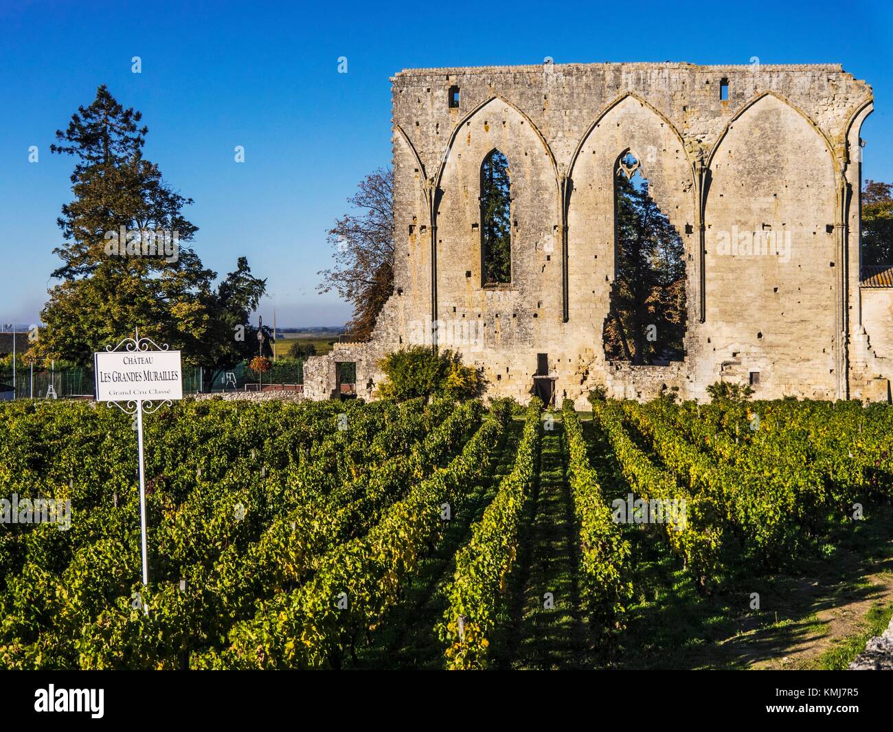 France, Nouvelle AquitaineGironde at Saint Emilion, one of the famed