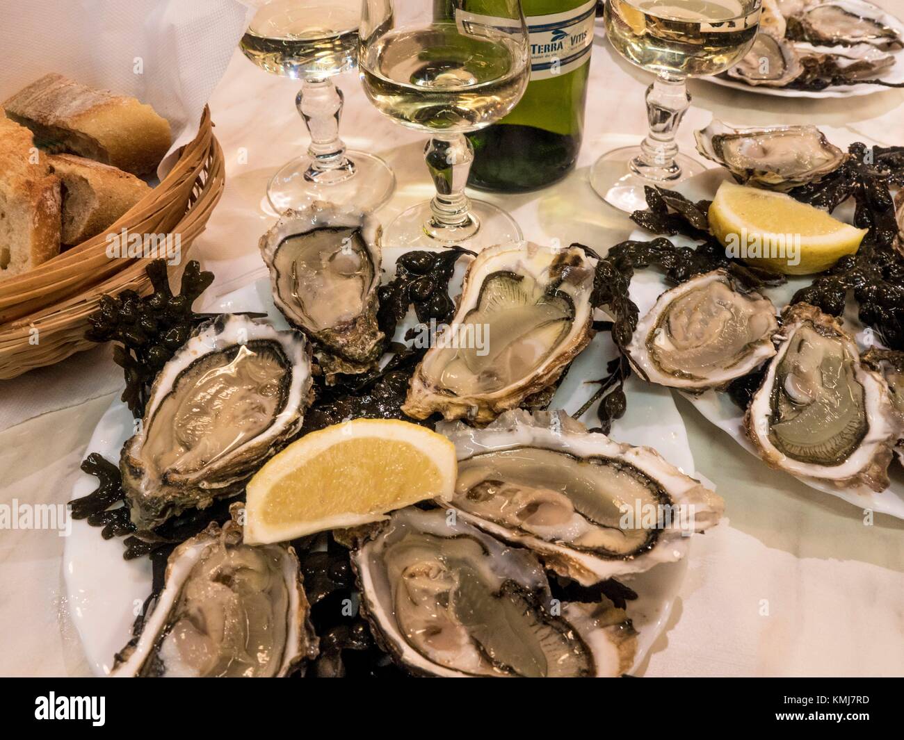 Oysters France High Resolution Stock Photography and Images Alamy