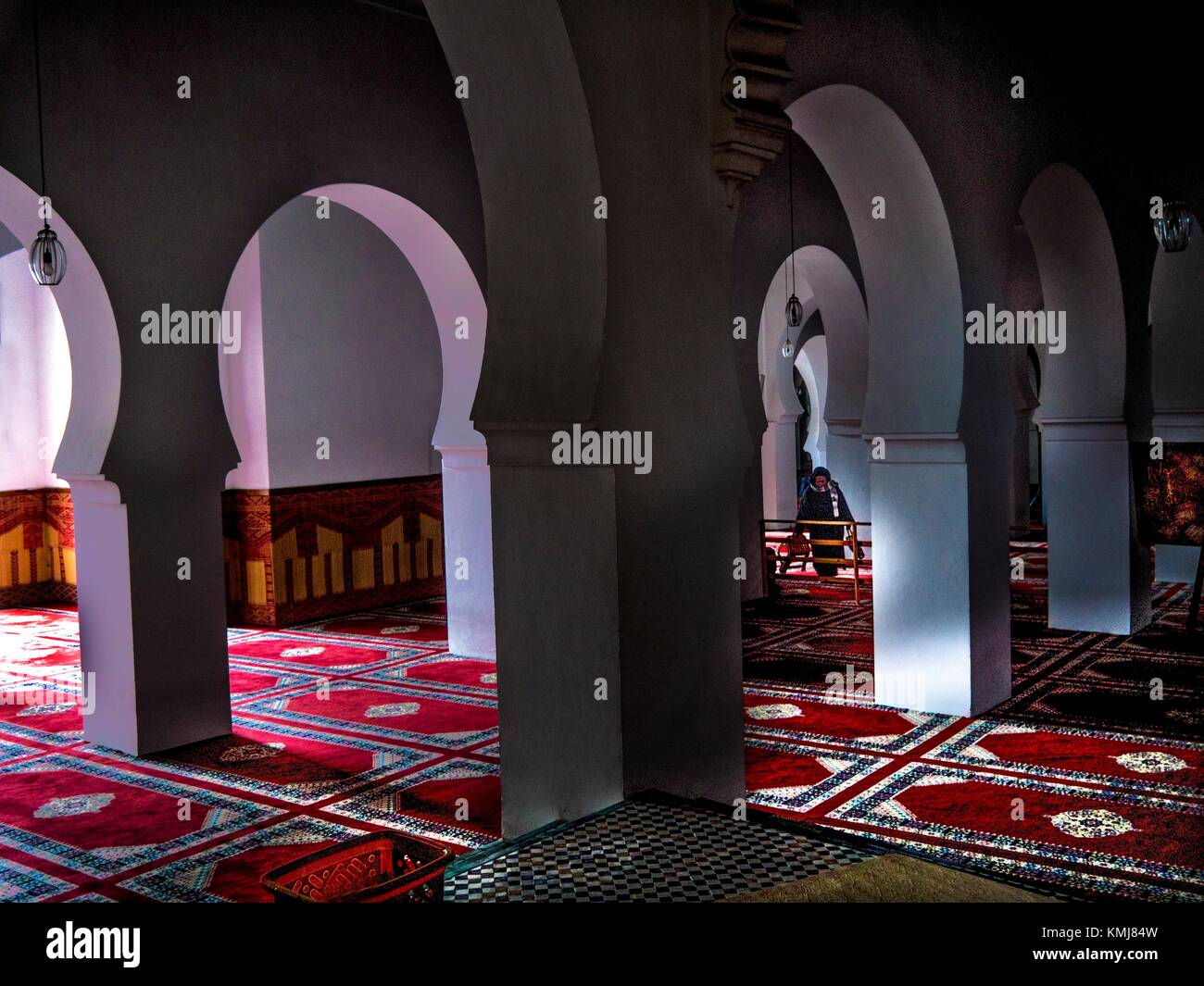 Morocco, Fes, praying room at the Karaouyne mosque, in the ""Medina