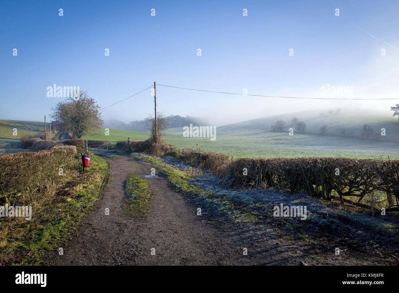 Road in a rural landscape with electric poles trees, and blue sky with haze. Skipton, North