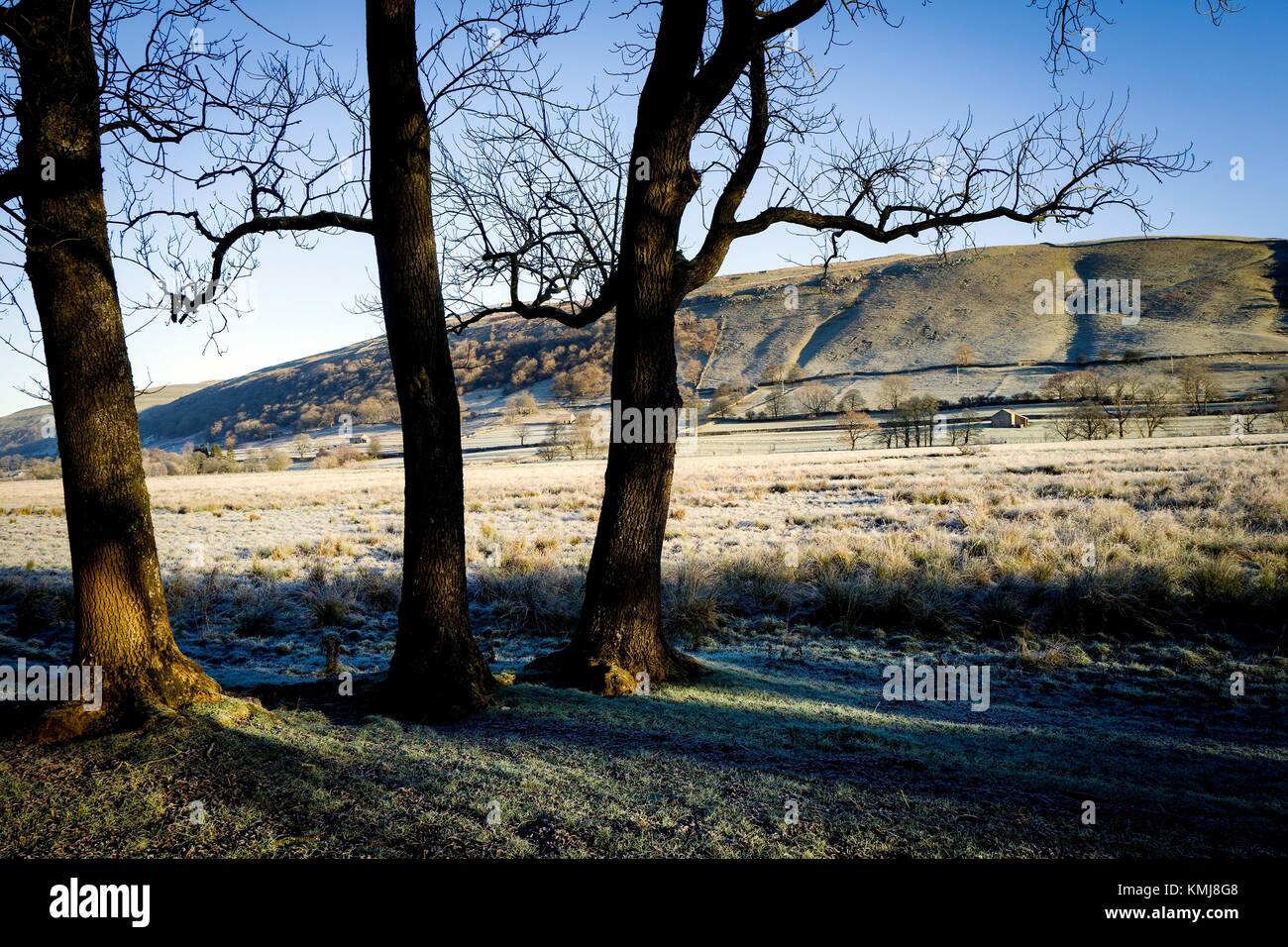 Cold and icy morning of a rural landscape with blue sky and trees. Buckden, Skipton, North