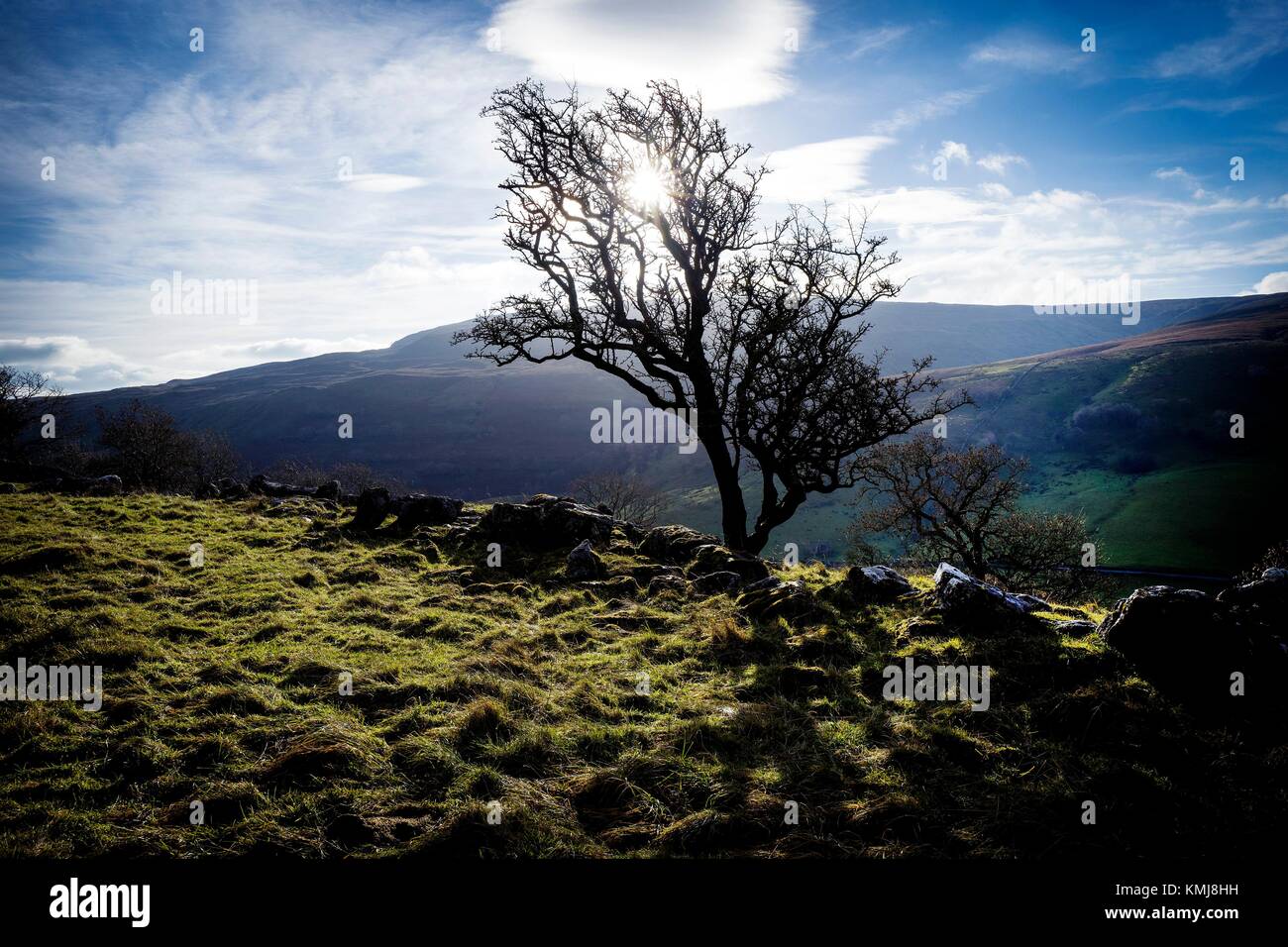 Rural landscape with blue sky, clouds and trees. Hubberholme, Skipton, North Yorkshire, England