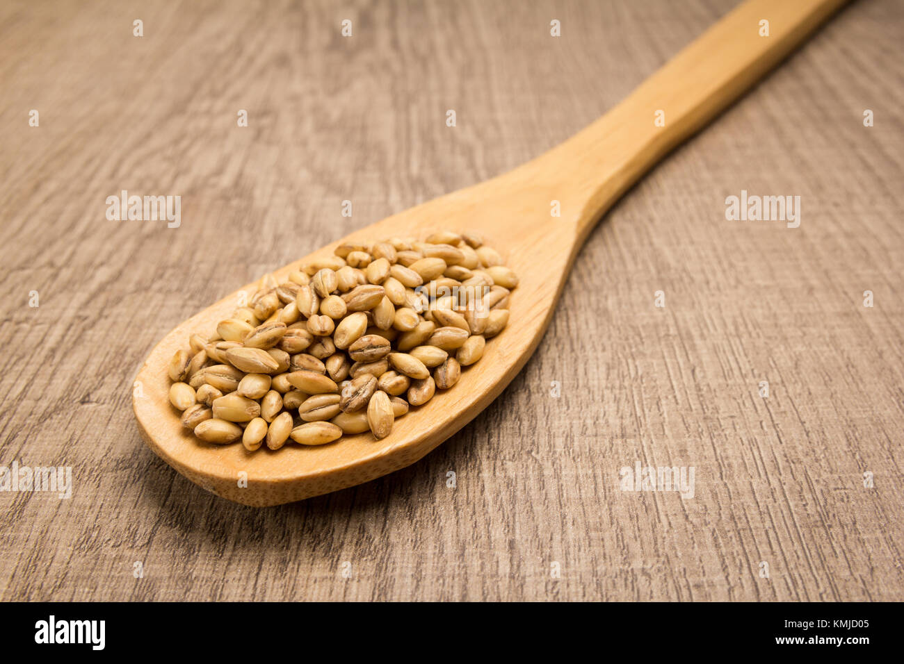 Hordeum vulgare is scientific name of Barley cereal grain. Also known