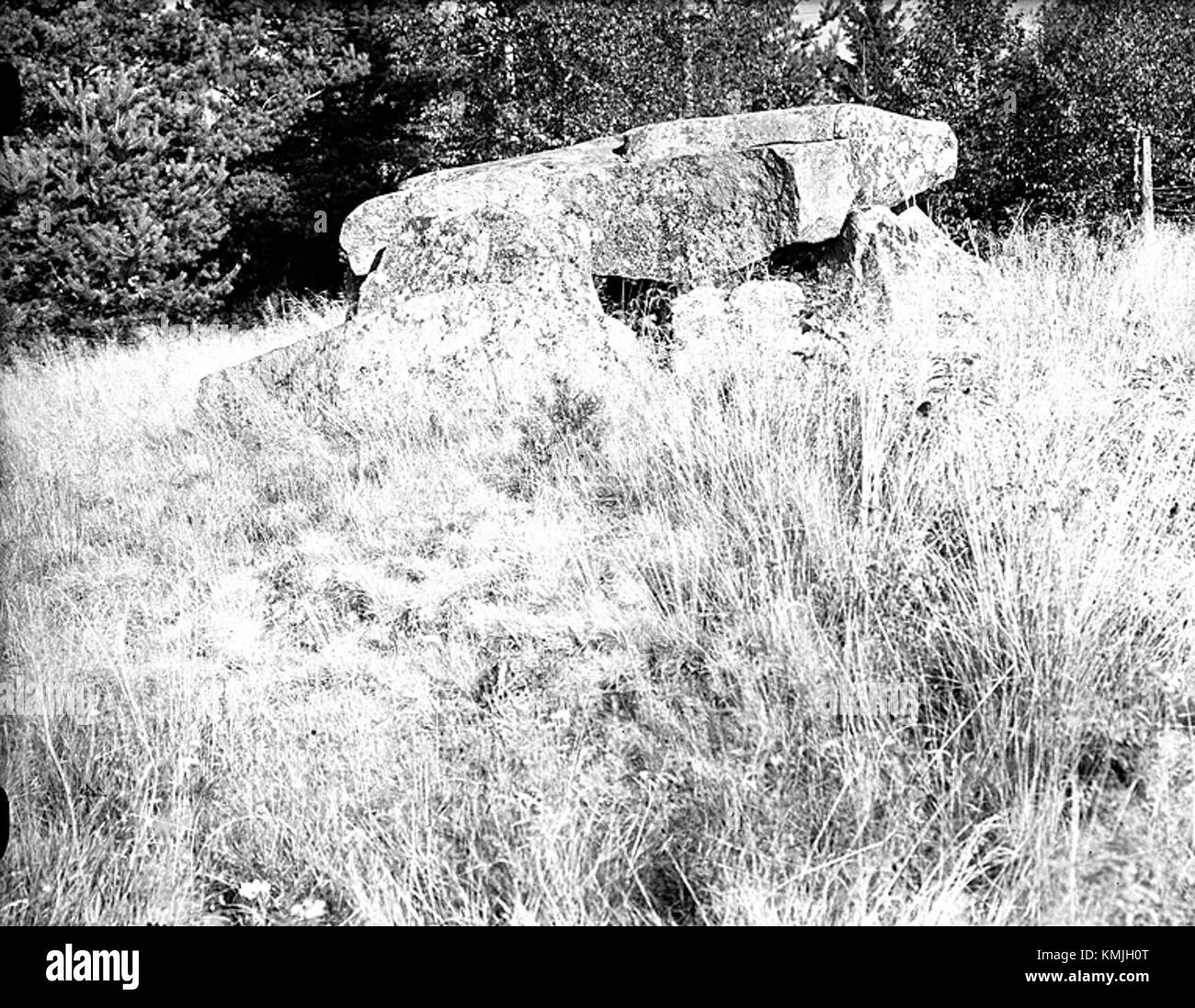 Stenkammargrav Hi res Stock Photography And Images Alamy stenkammargrav-hi-res-stock-photography-and-images-alamy