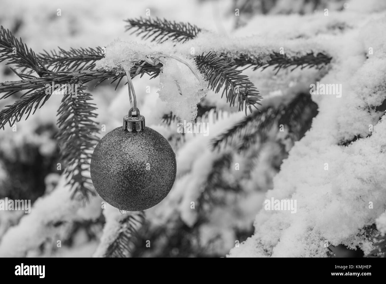 Christmas Ornamental Bauble at a Tree Stock Photo - Alamy
