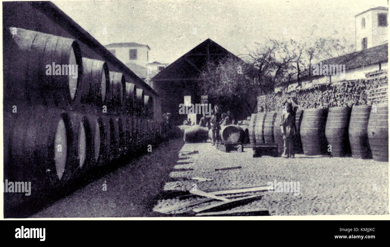 Wine Shipper's Yard - Funchal, MON 1909 Stock Photo