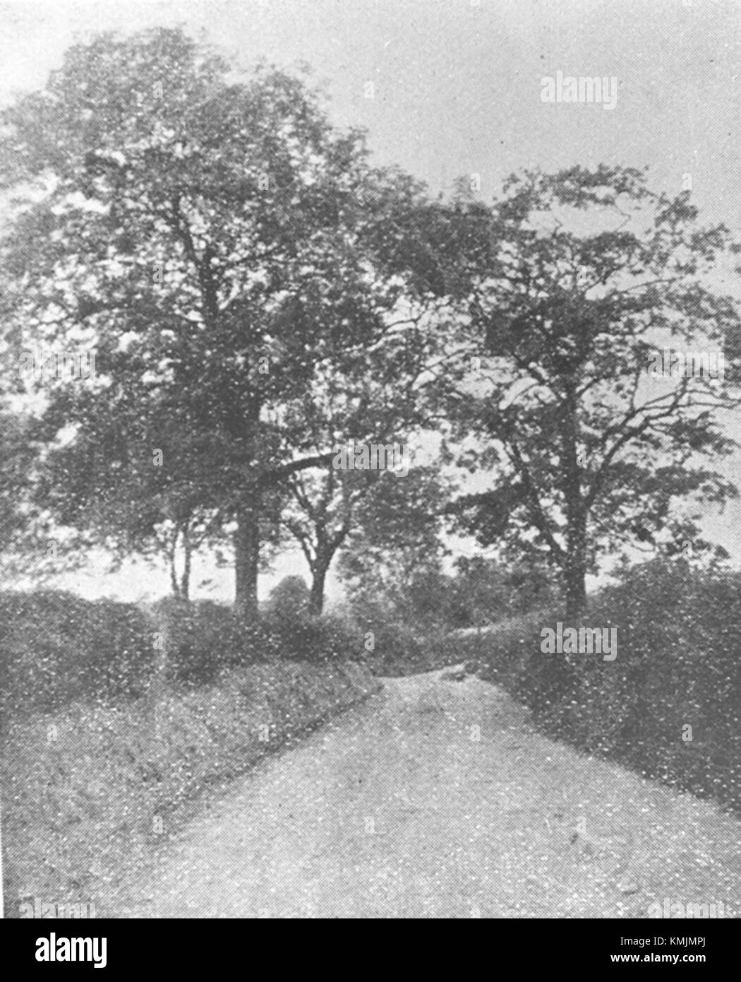 Mill Lane, Hazel Grove c.1901 Stock Photo