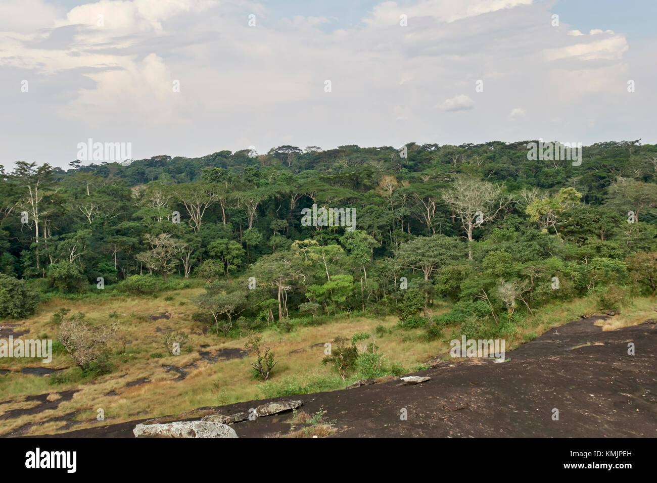Mixed rainforest and savanna landscape Stock Photo