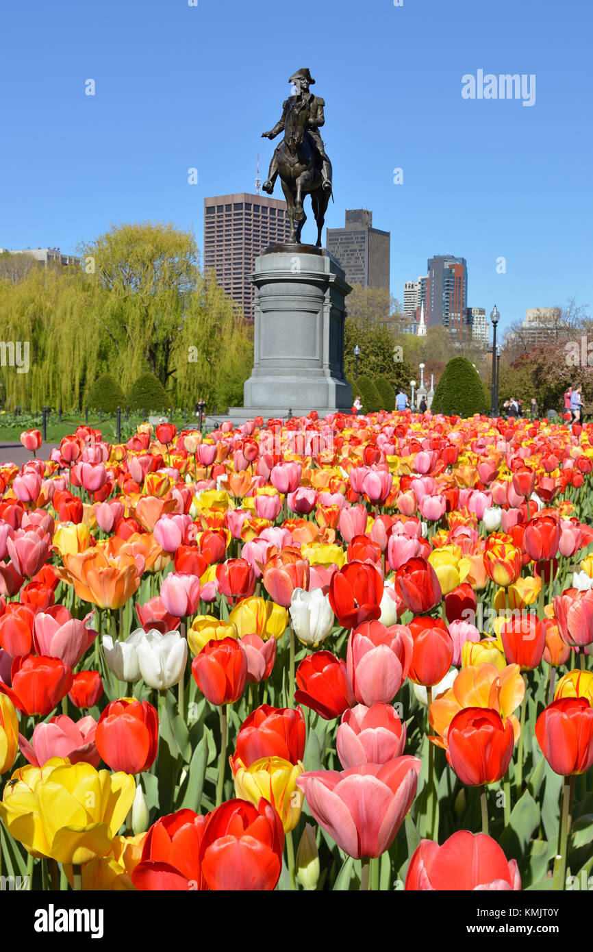 washington equestrian monument hires stock photography and