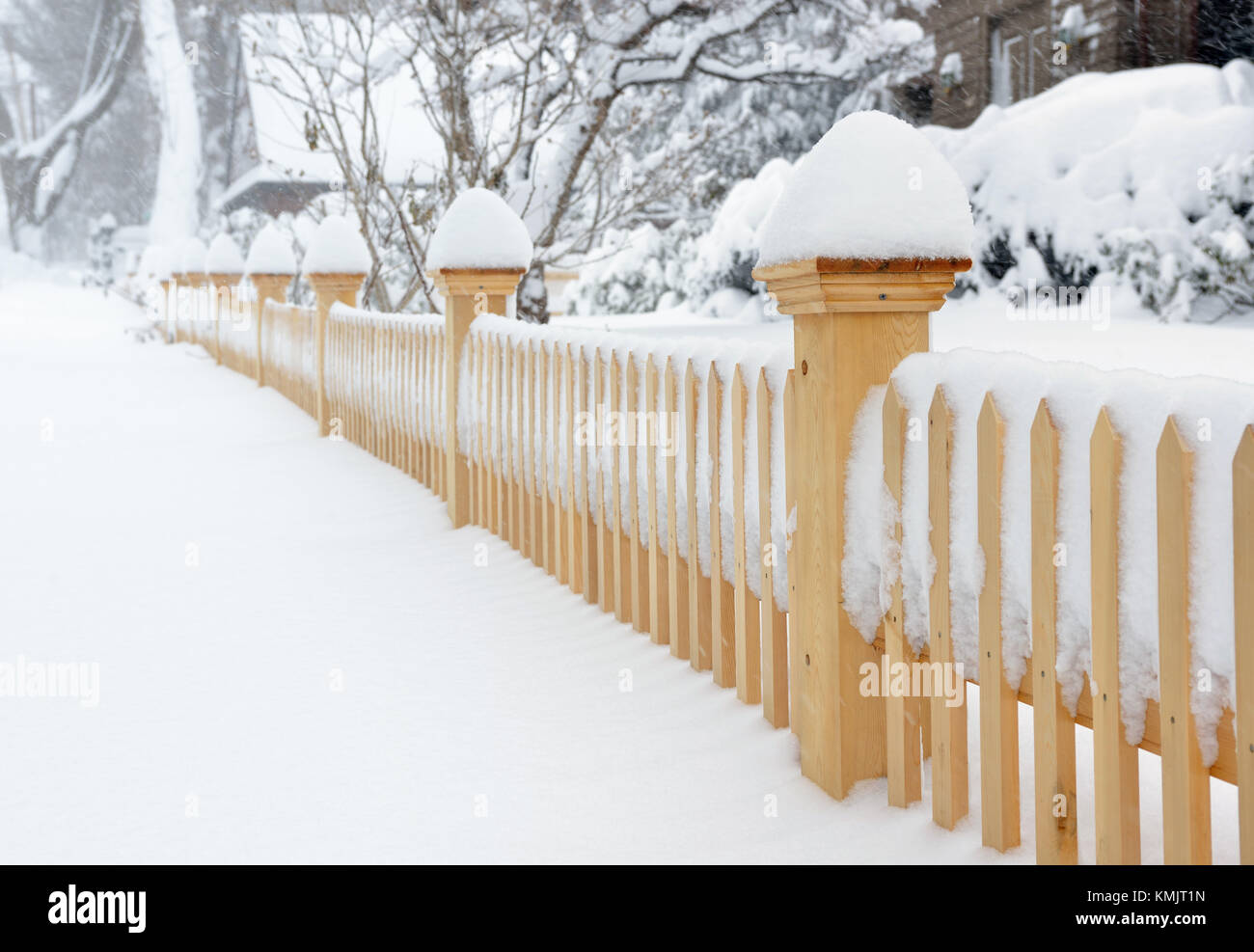Garden fence, sidewalk and plants covered in snow during a winter storm Stock Photo