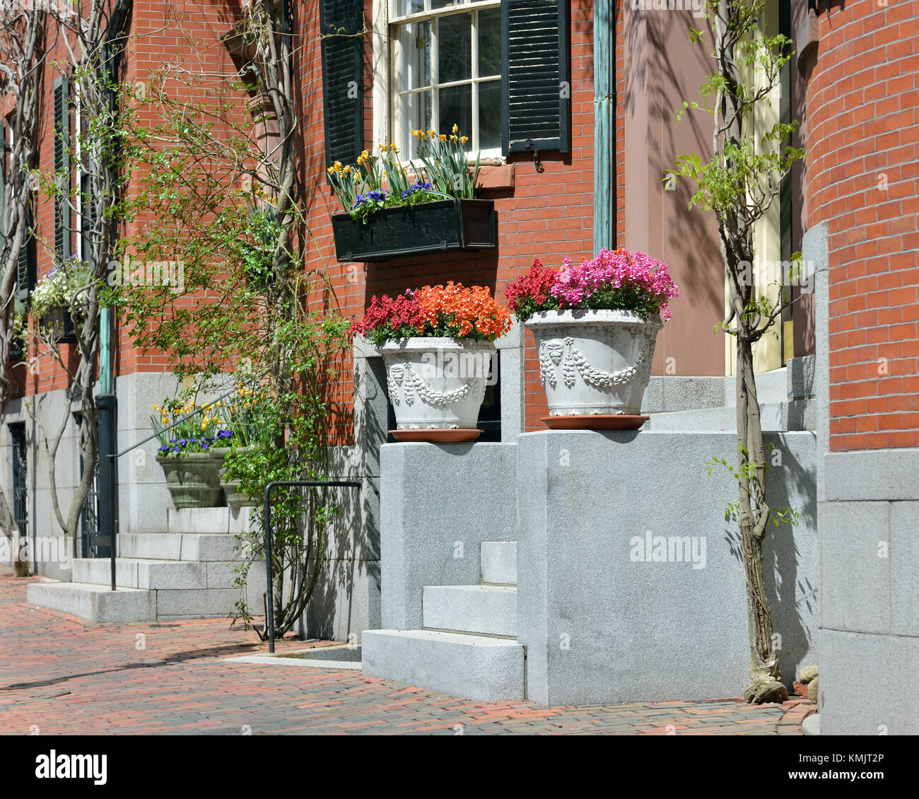 Urban garden. Two large planters on front steps framing house entrance. Stock Photo