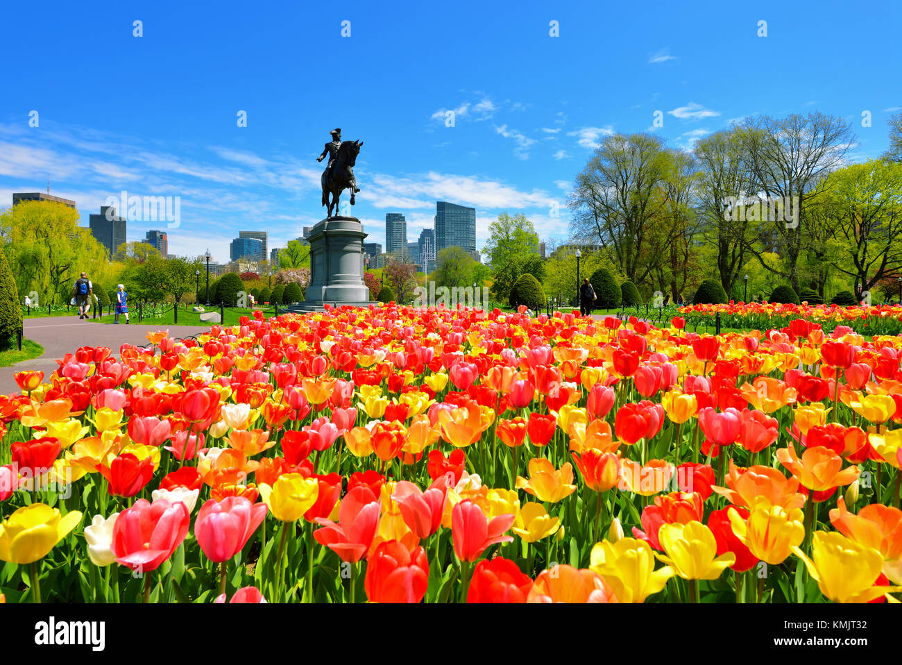 Boston Public Garden and city skyline on a beautiful spring day. Colorful tulips planted in mass in front  of George Washington statue. Stock Photo