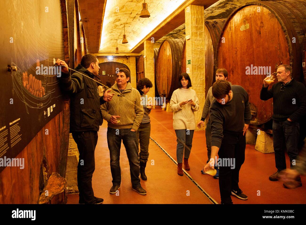 Cider barrels, Sidreria Petritegi, Astigarraga, Gipuzkoa, Basque