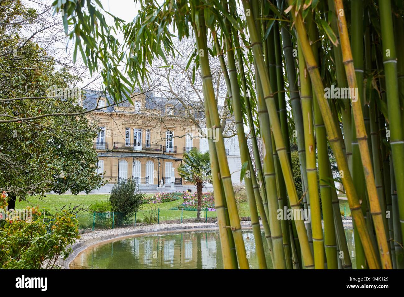 Bamboo, Gardens and Palace of Aiete, Donostia, San Sebastian, Gipuzkoa