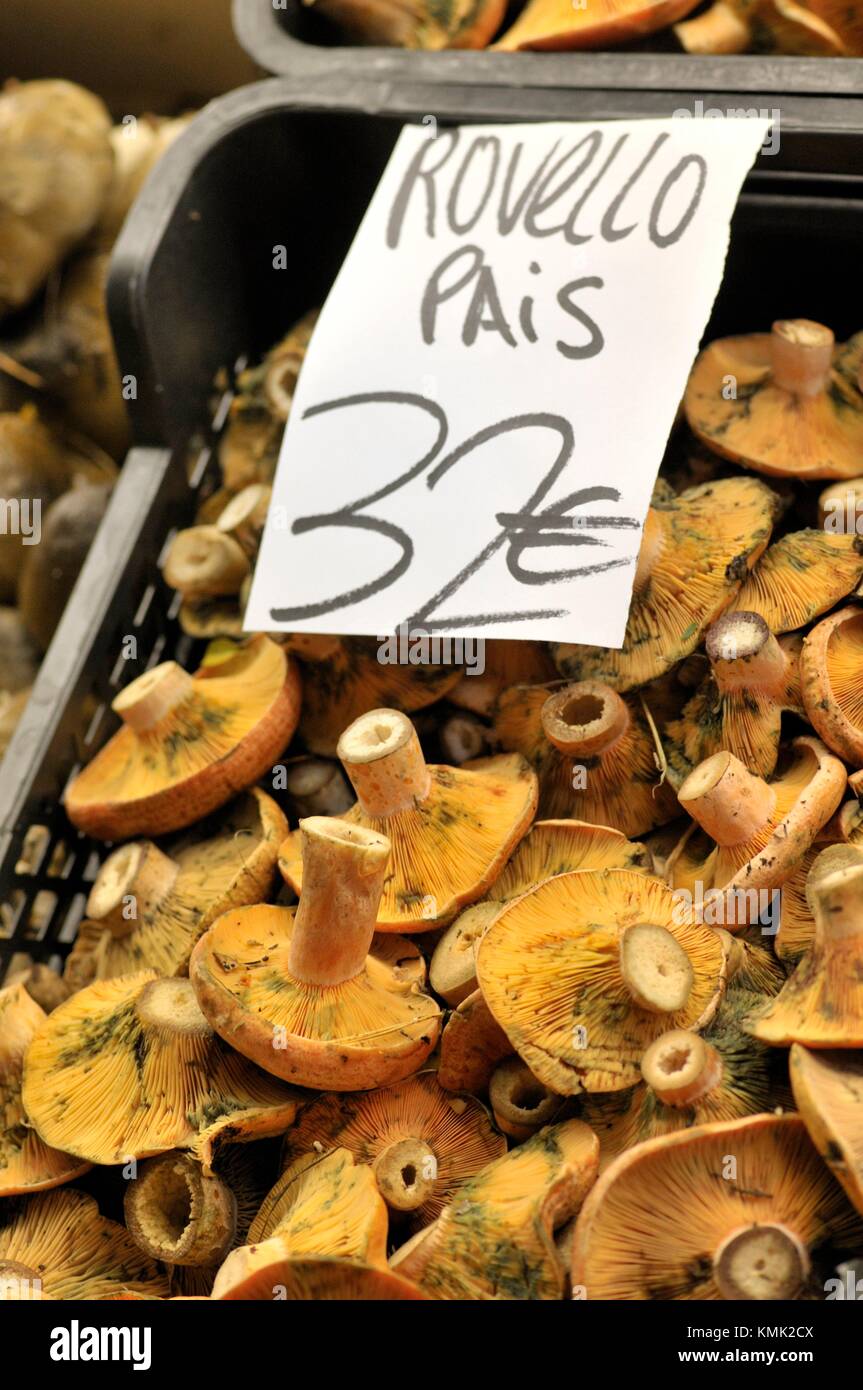 Mushrooms. Rovellons, Saffron Milkcap at Sant Josep aka la Boqueria