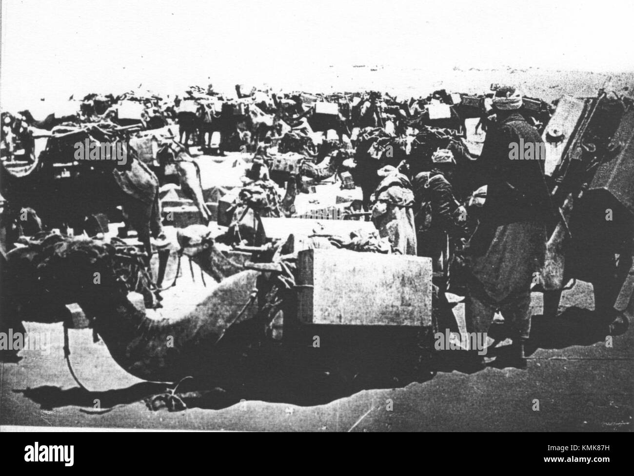 IWMQ15857ECTC is a catalog identifier for an item held by the Imperial