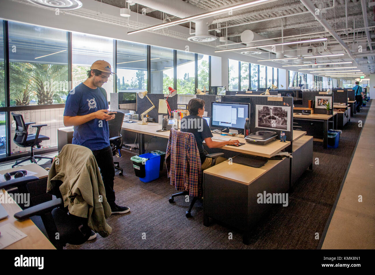 Informally dressed young adult employees at the Vans Shoe Company corporate  headquarters in Costa Mesa, CA, work in an open office environment. Note  shade trees outside windows Stock Photo - Alamy
