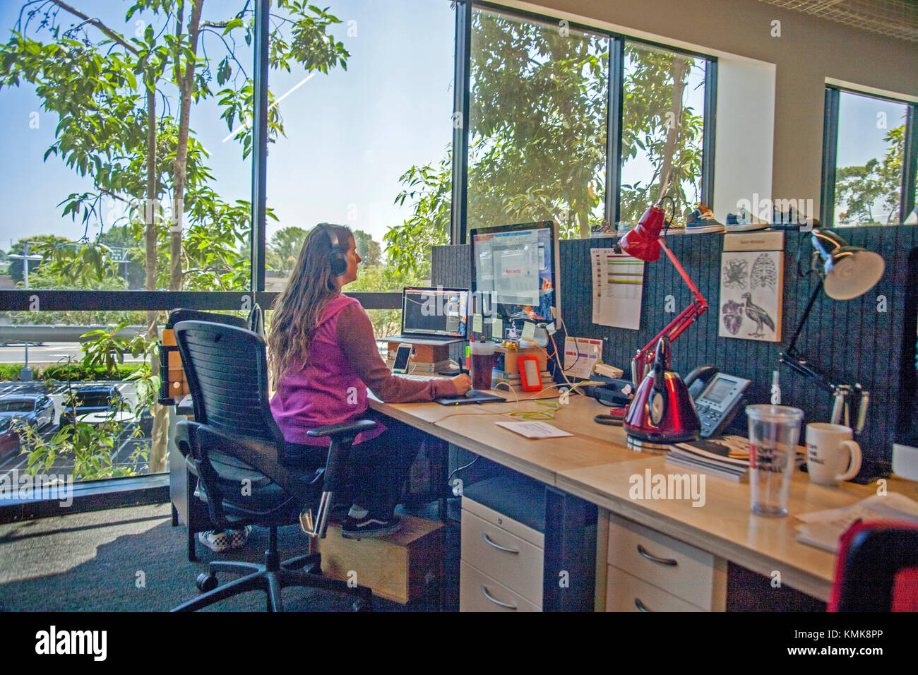 Work In An Open Office Environment Note Shade Trees Outside Stock
