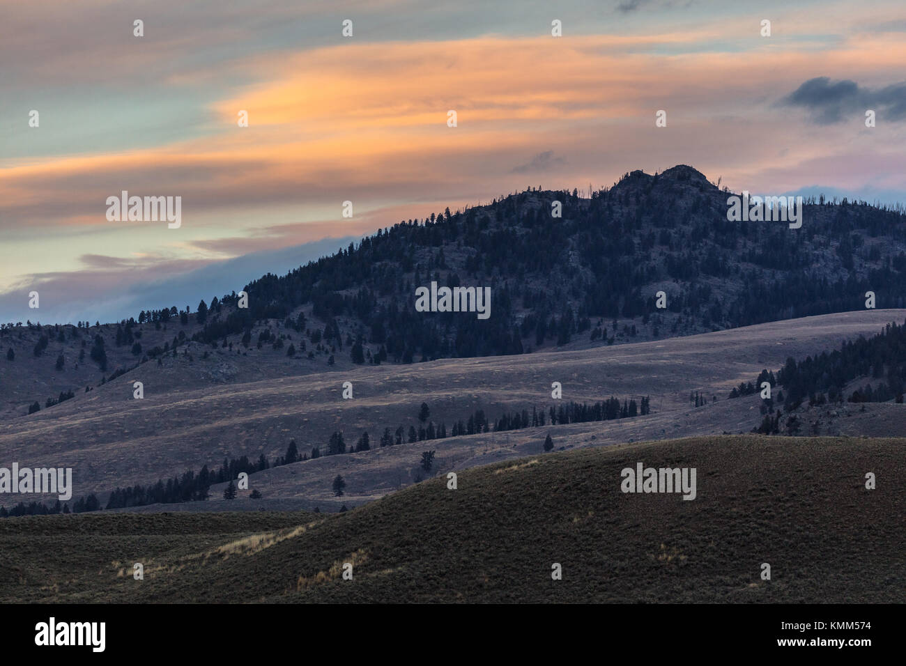 National park wyoming roosevelt junction yellowstone national park hi