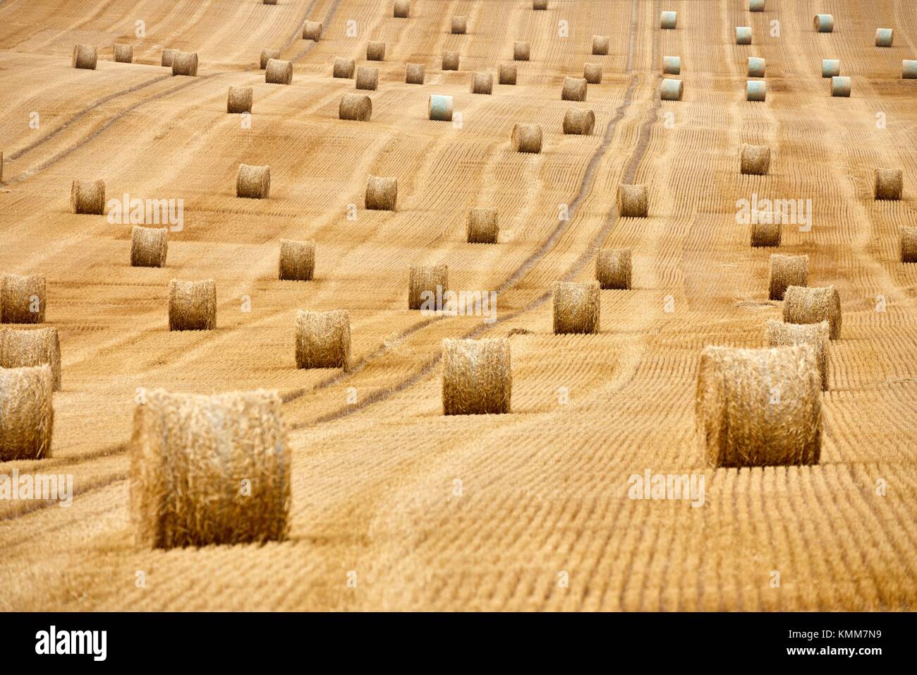 Field of cereal, bales of straw, stubble, near Auxerre, Yonne, Burgundy, Bourgogne, France, Europe Stock Photo