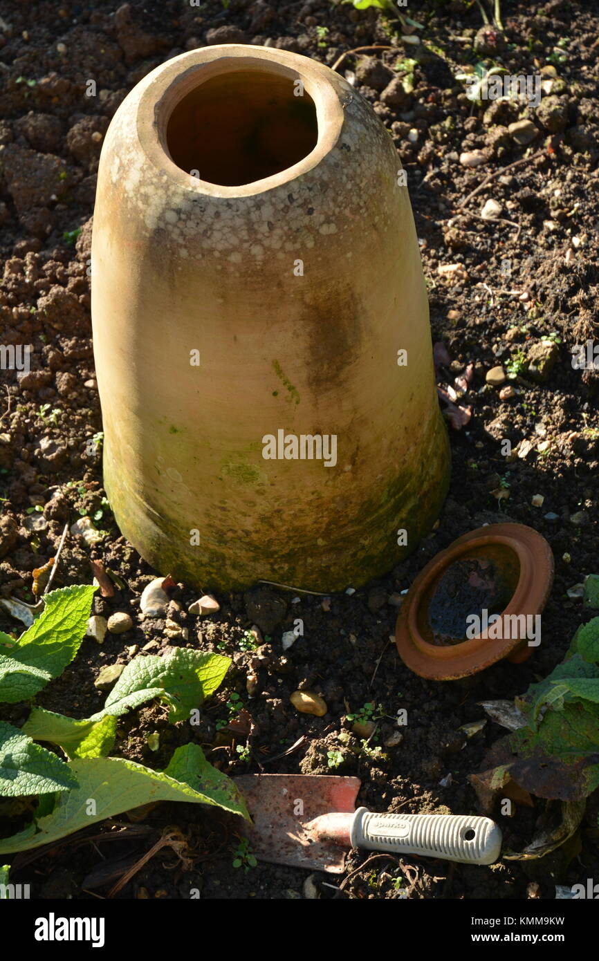 Rhubarb forcing pot Stock Photo