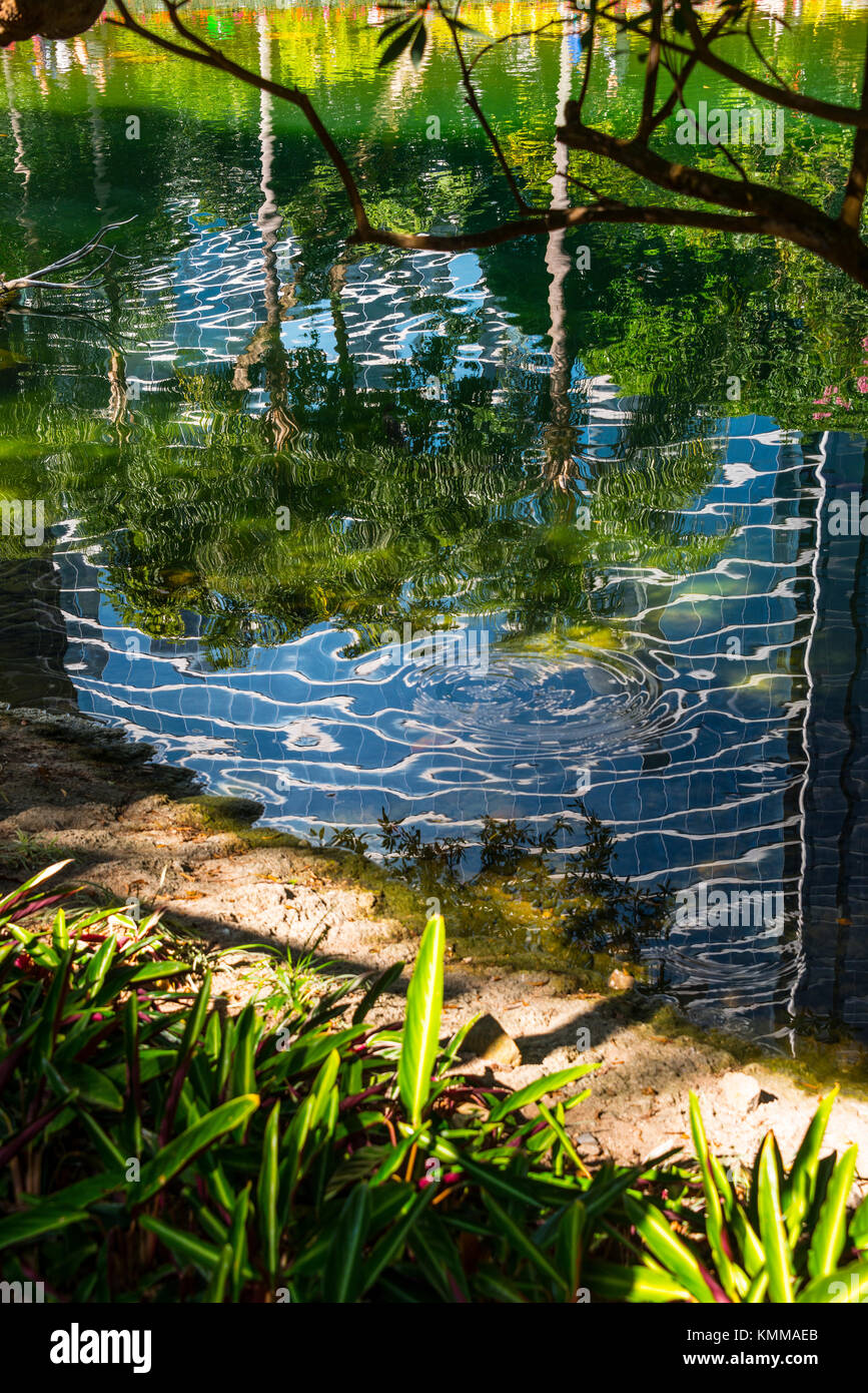 Reflections in Lake, Hong Kong Park, Hong Kong Stock Photo