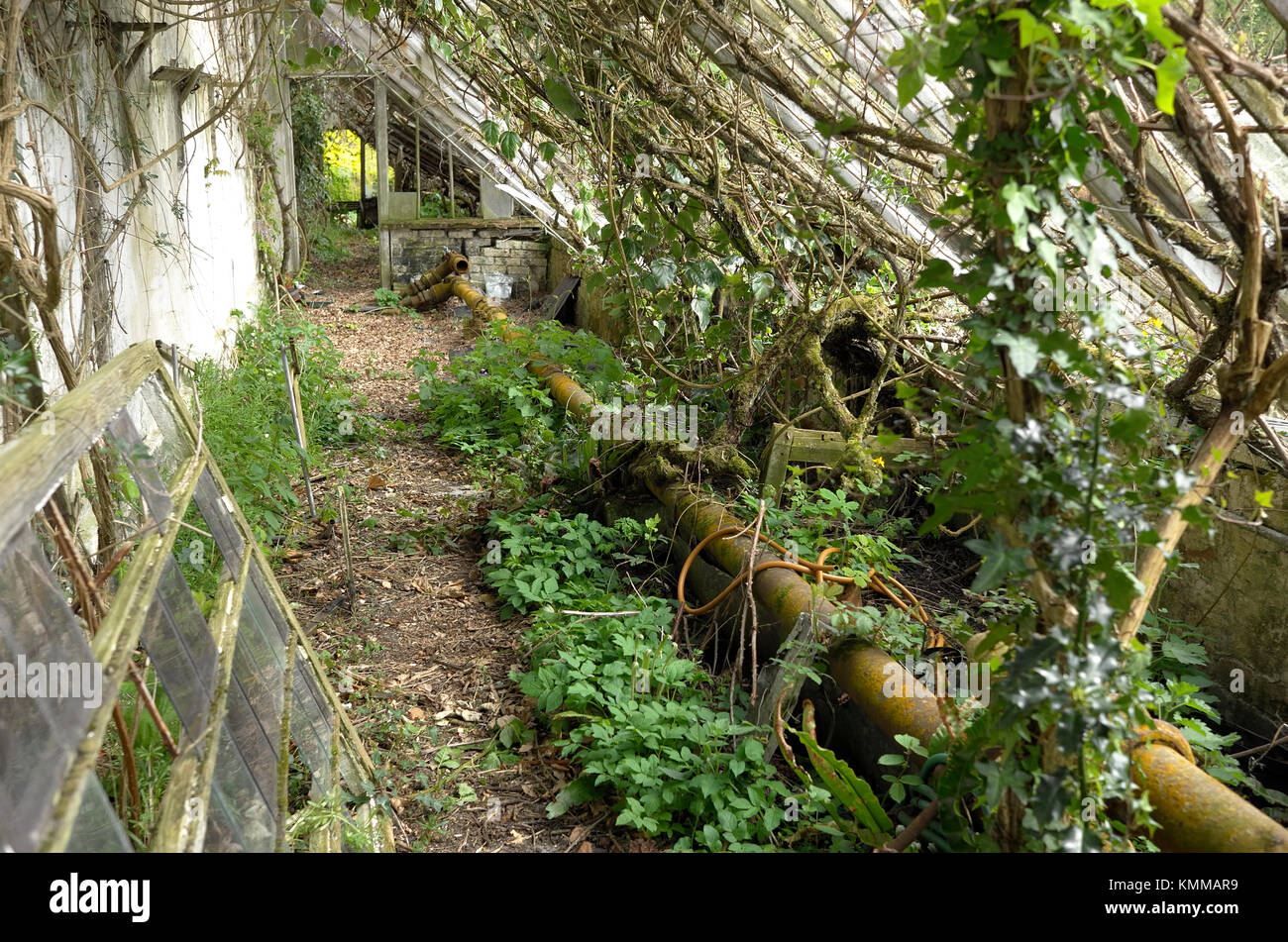 Victorian greenhouse hi-res stock photography and images - Alamy