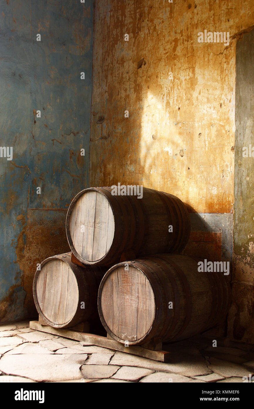 Tequila barrels. Guadalajara, Jalisco, Mexico Stock Photo Alamy
