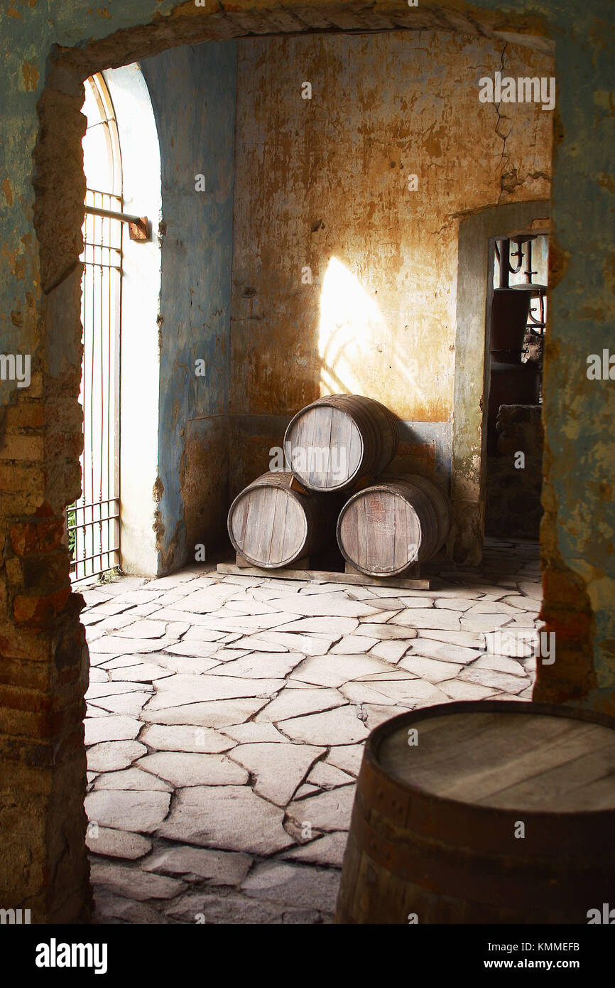 Tequila barrels. Guadalajara, Jalisco, Mexico Stock Photo Alamy