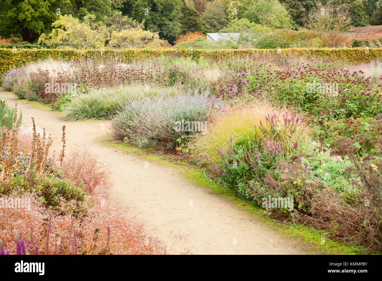 Scampston Hall Walled Garden, North Yorkshire, in Autumn. October 2017. A four acre contemporary garden designed by Piet Oudolf. Stock Photo