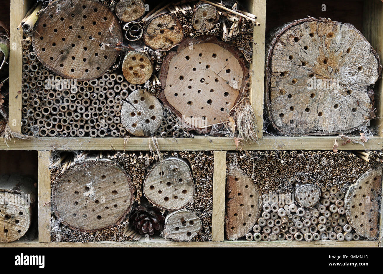 Bug hotel in a wooden frame for insects to breed and overwinter in with holes drilled in logs, grass stems, bamboo canes and conifer cones. Stock Photo