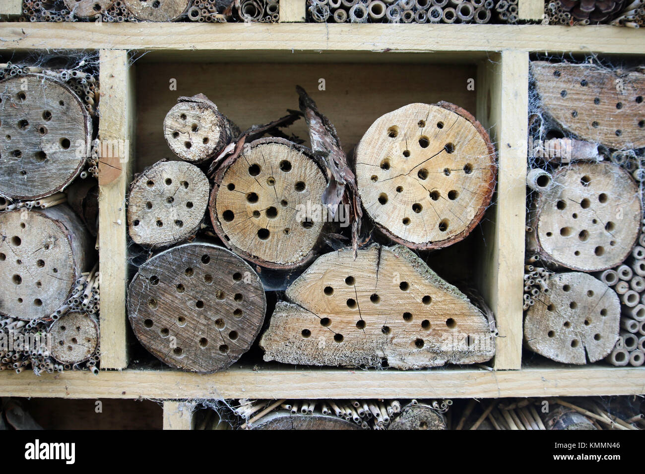 Bug hotel in a wooden frame for insects to breed and overwinter in with holes drilled in logs, grass stems and bamboo canes. Stock Photo