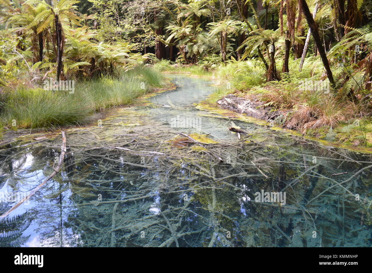 River in New Zealand Stock Photo Alamy