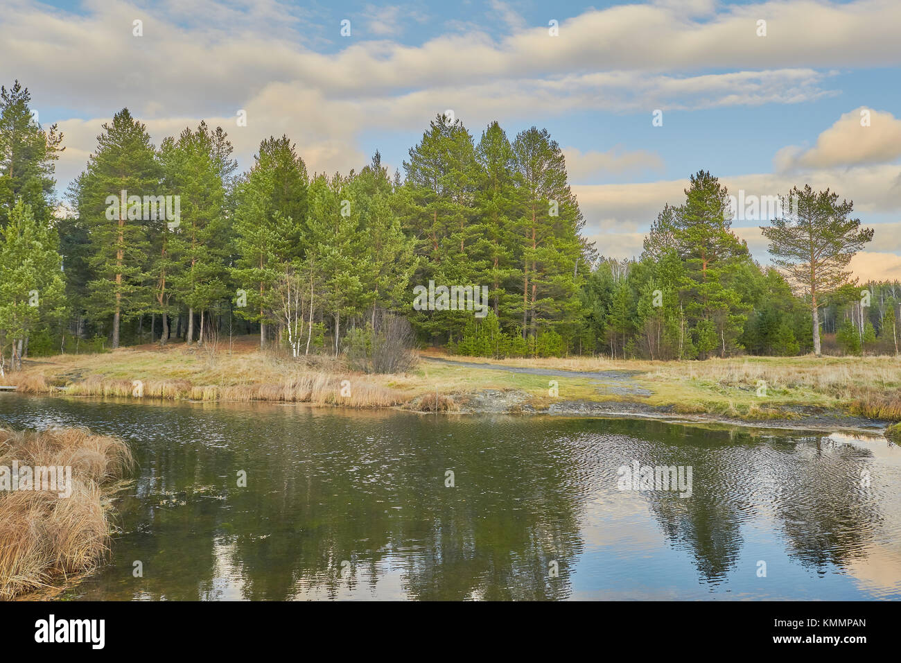 Sunset in the autumn forest by the lake in the mountains Stock Photo ...
