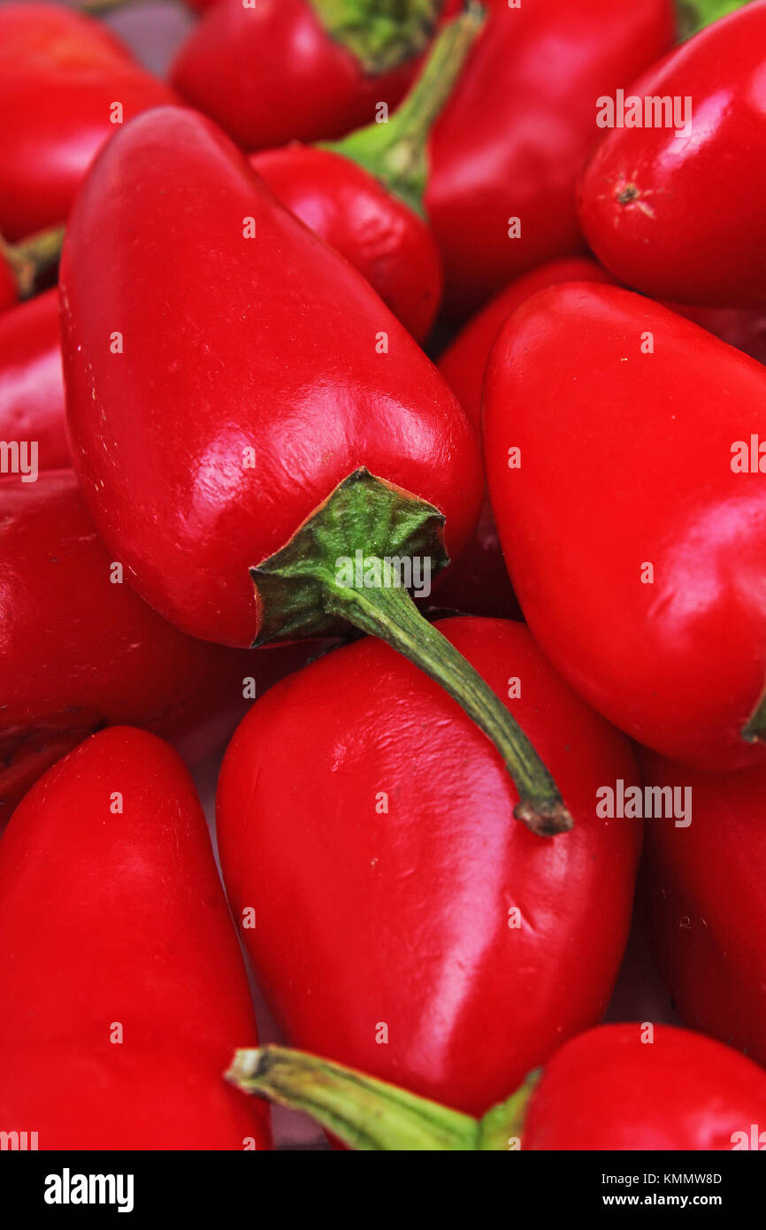 Aleppo Food High Resolution Stock Photography and Images Alamy