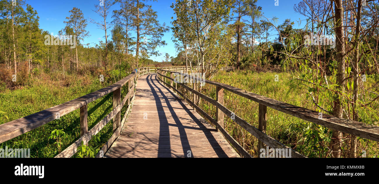 Boardwalk path at Corkscrew Swamp Sanctuary in Naples, Florida through