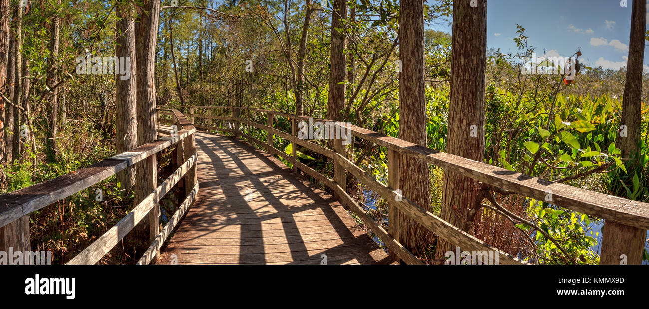 Boardwalk path at Corkscrew Swamp Sanctuary in Naples, Florida through