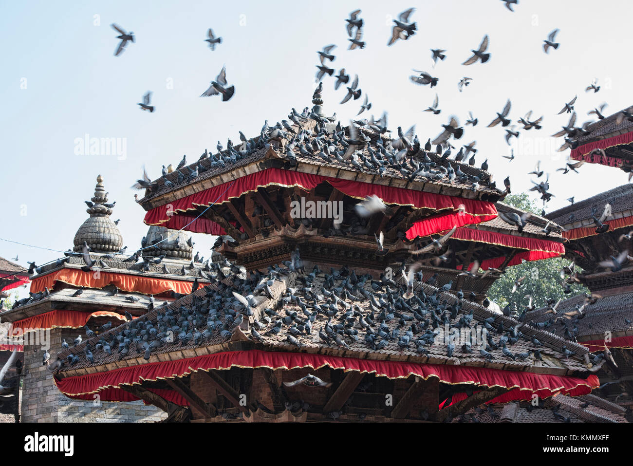 Pigeons throng a temple in Durbar Square, Kathmandu, Nepal Stock Photo